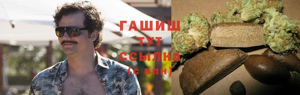 сатива Богданович