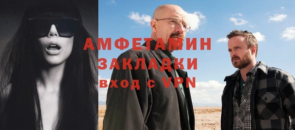 сатива Богданович
