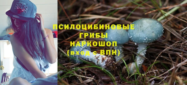 ГАЛЛЮЦИНОГЕННЫЕ ГРИБЫ Богородицк