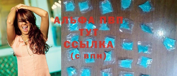 сатива Богданович