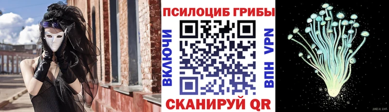 Псилоцибиновые грибы прущие грибы  Кировград 